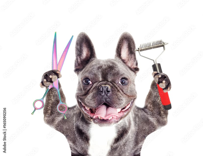 Dog grooming tools